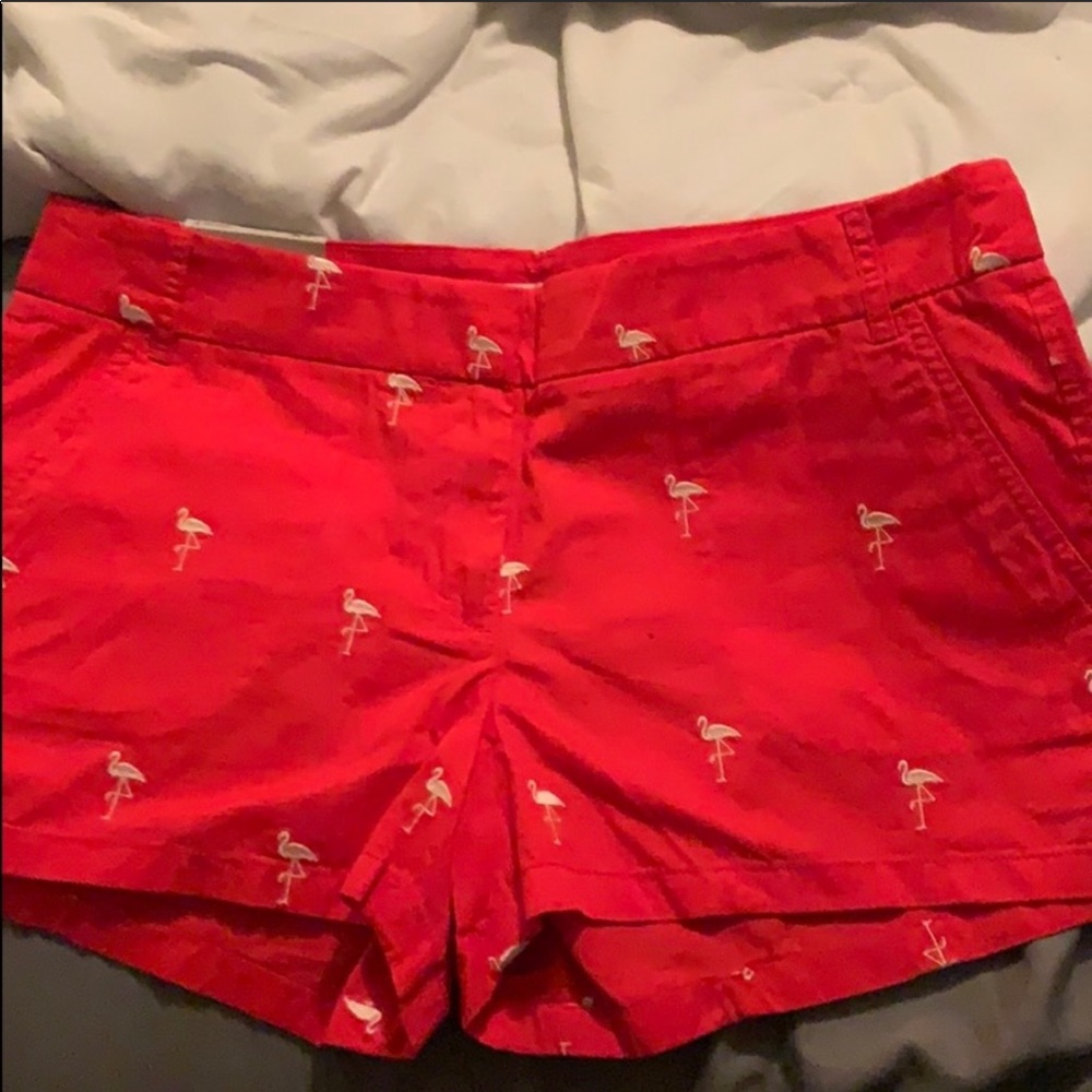 J crew chino flamingo shorts